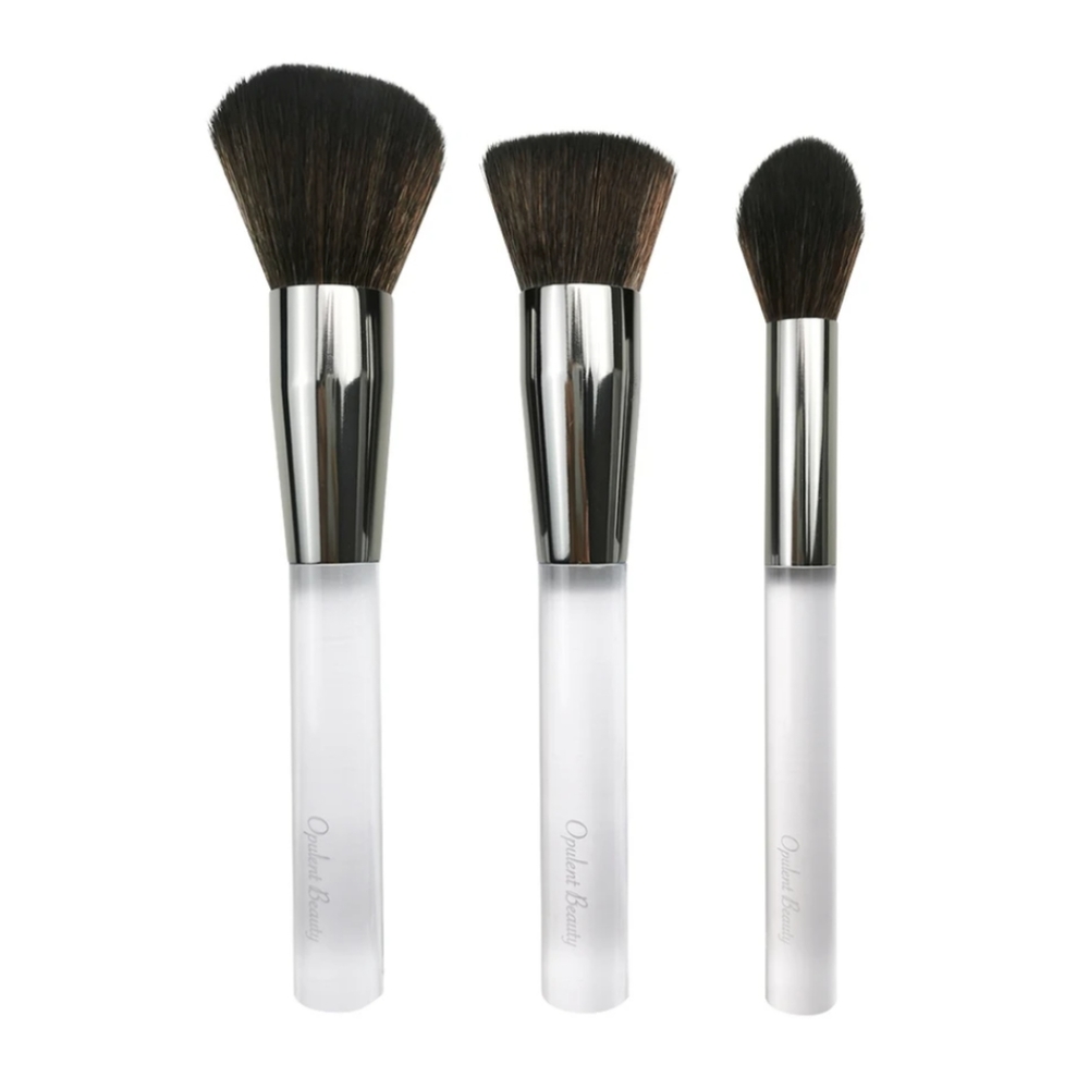 3 piece Brush collection